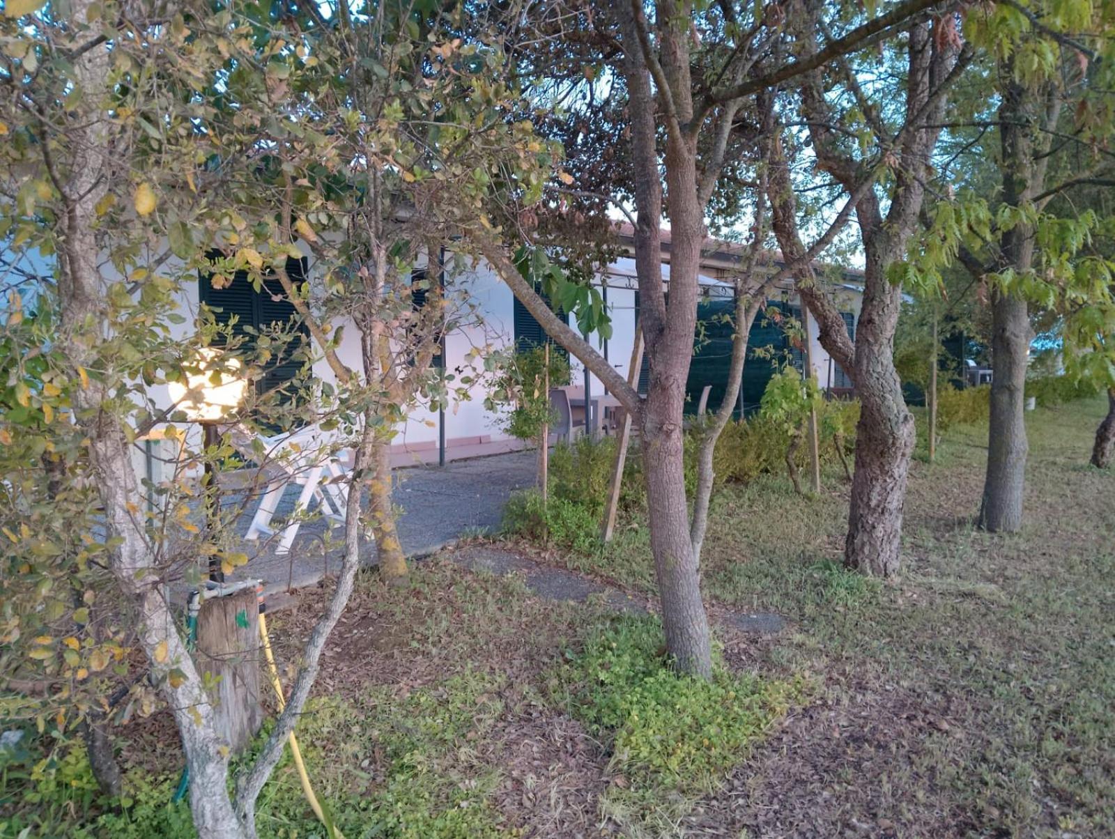 Agriturismo I Gelsi 마리나디그로세토 외부 사진