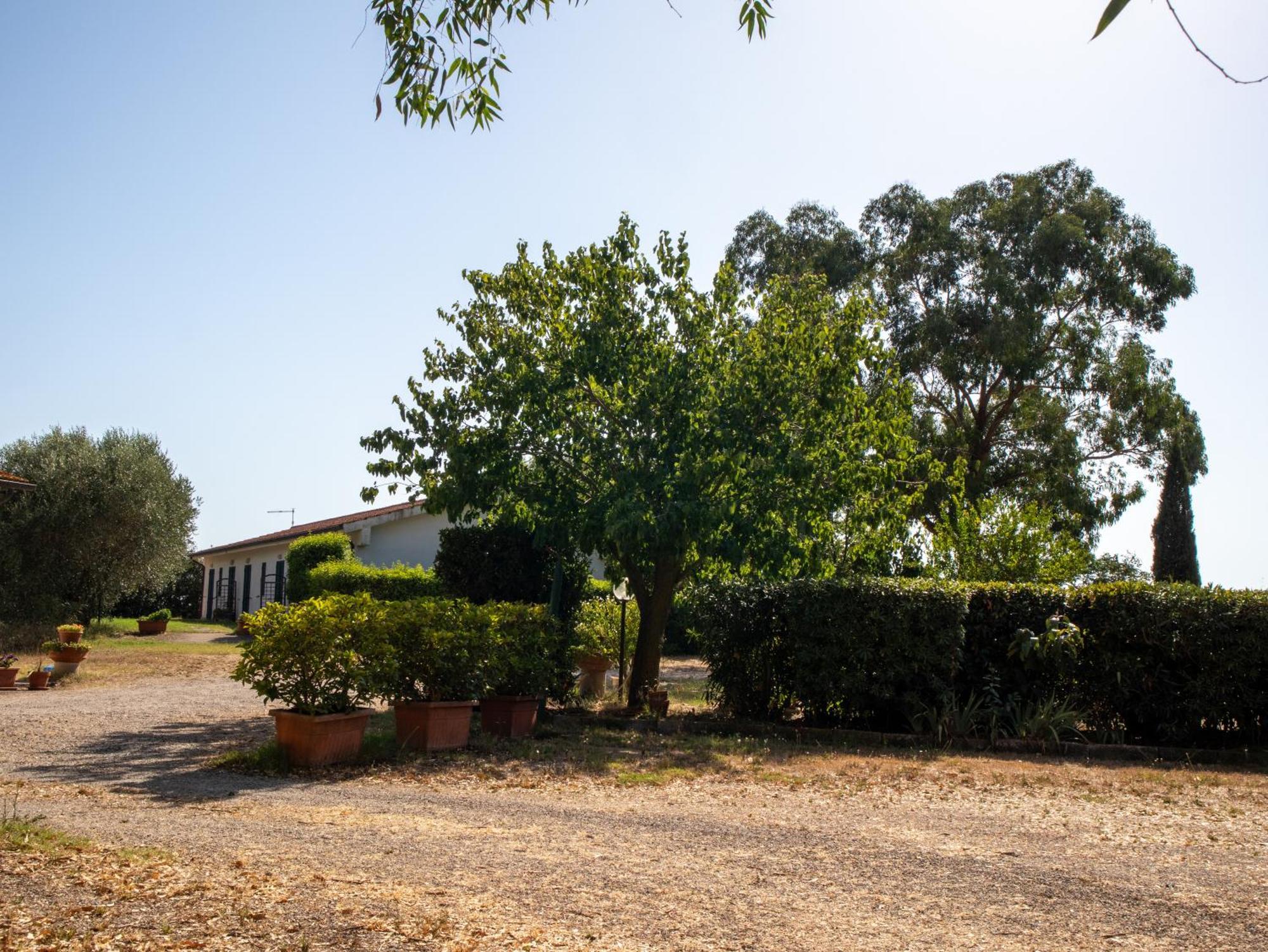 Agriturismo I Gelsi 마리나디그로세토 외부 사진
